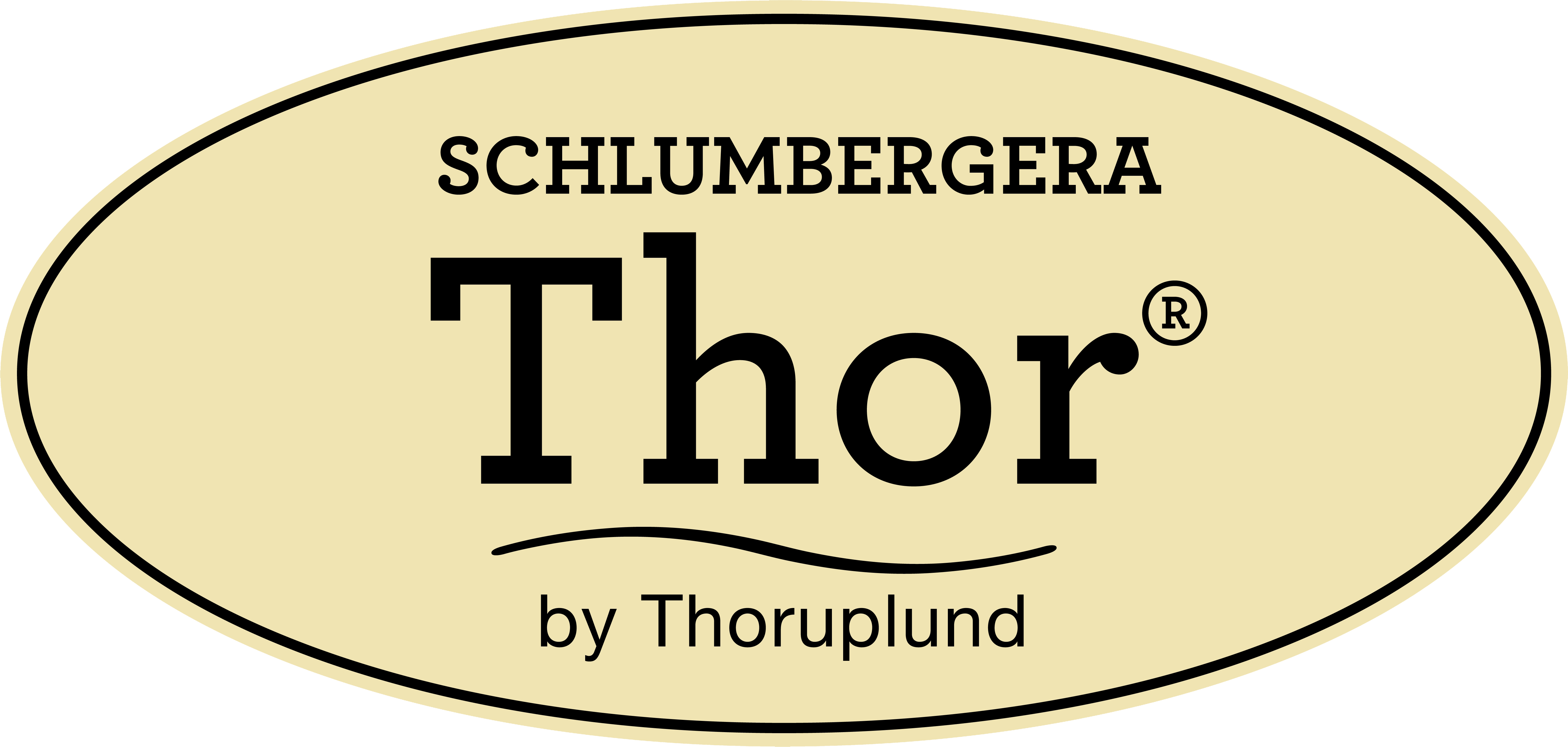 Schlumbergera Thor Logo JPG ORIGIN