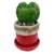 Hoya-kerri-Double Leaves Splash.jpg