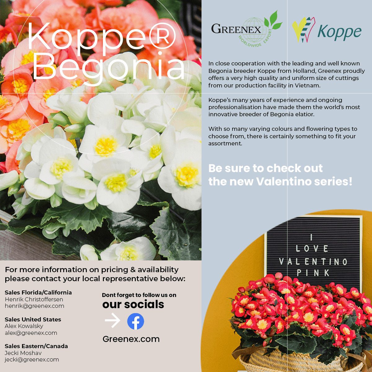 Begonia Social Promo 4