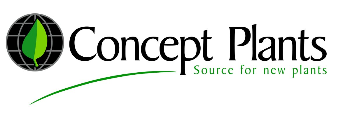 Concept Plants